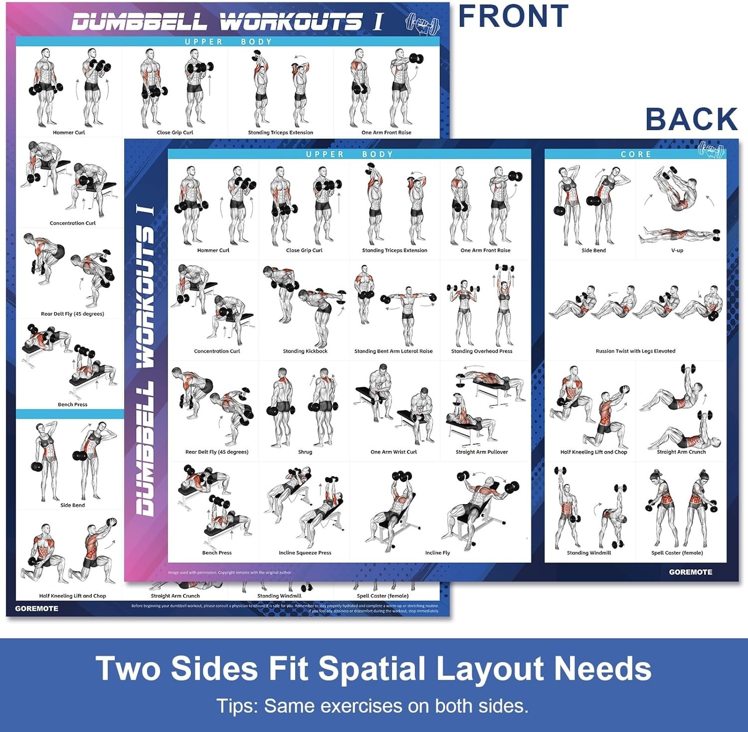 Dumbbell Workout Poster Set 2 Pack 18×24 Home Gym Exercise Muscle Diagrams NEW
