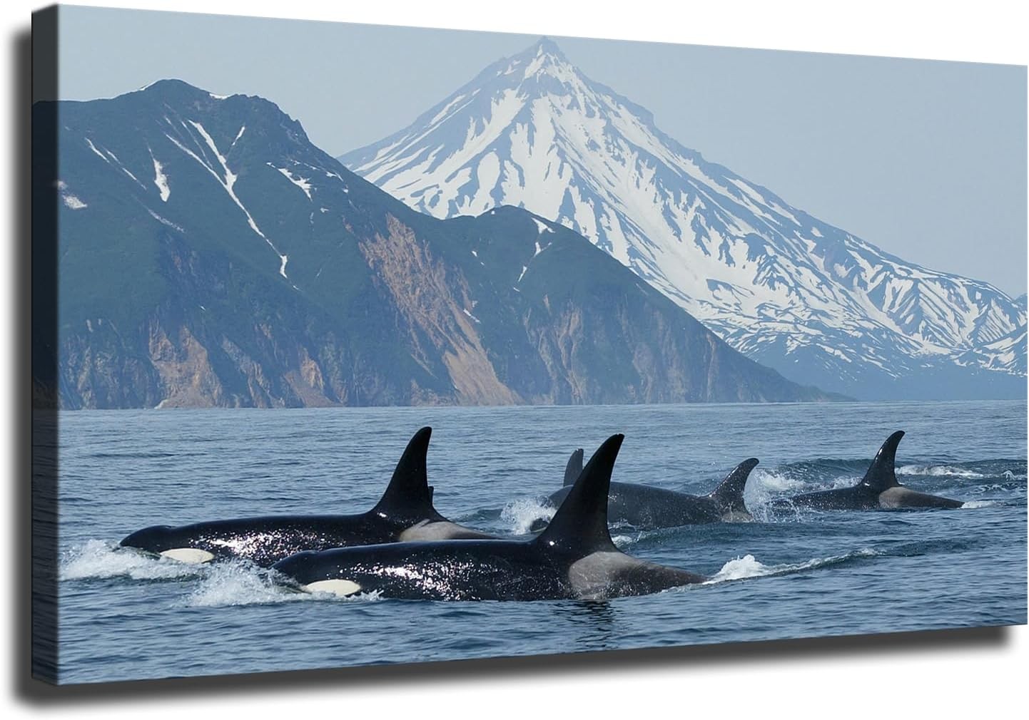 Killer Whale Animal Poster Art Print Canvas Wall Art Kitchen Living Decoration