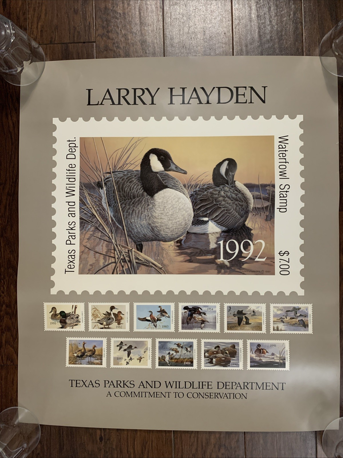 Larry Hayden ~ Poster ~ Texas Park & Wildlife Dept ~ (26.5”x 23″)