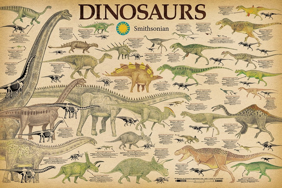 DINOSAURS – SMITHSONIAN POSTER 24×36 – CHART SCHOOL 241203