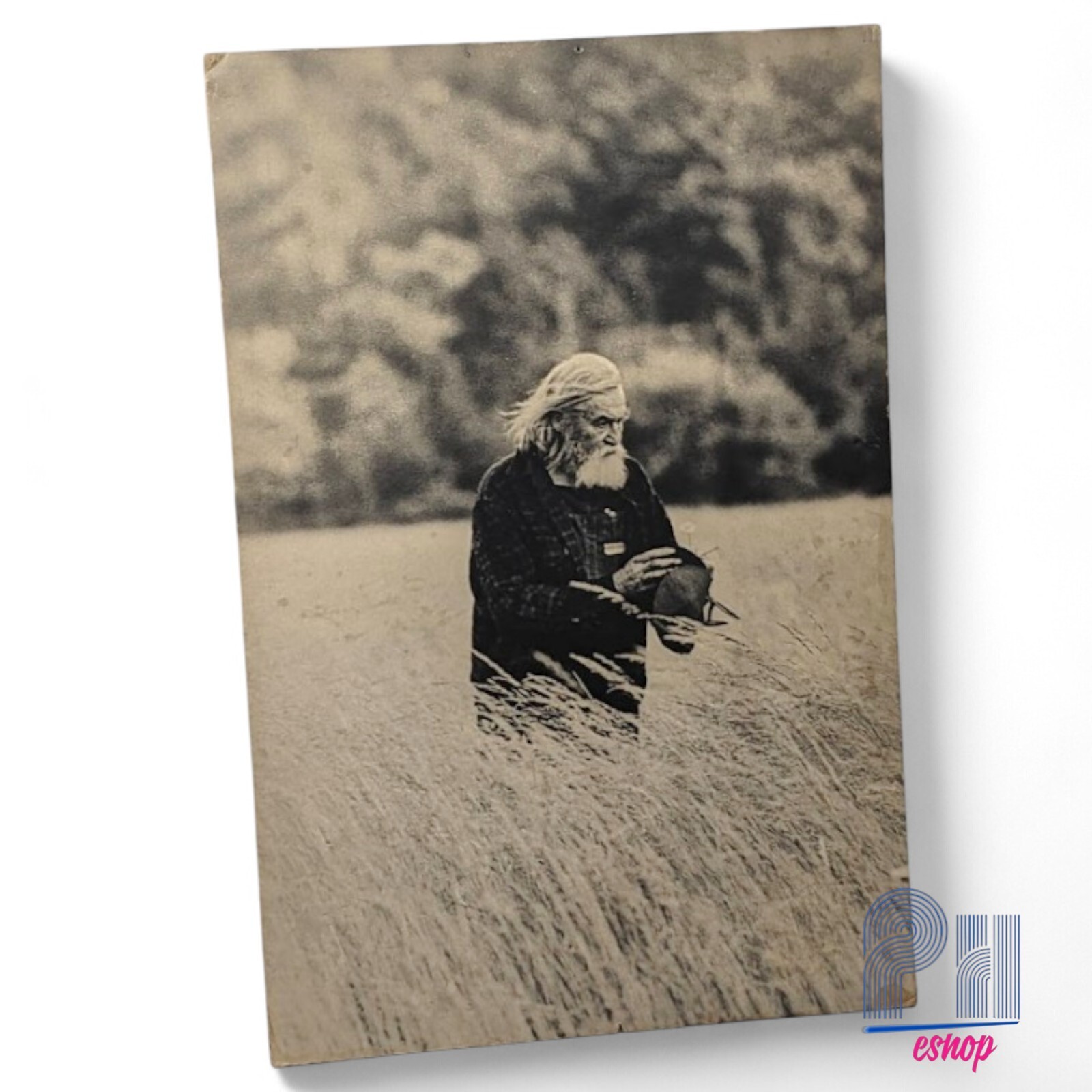 VTG Joe Covello Photography Print 12×18 Unframed Art Old Man Field Studio One