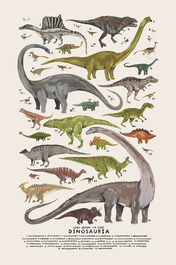 Dinosaur Species Chart Poster Extinct Creatures Infographic Educational Wall Art