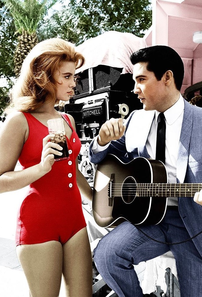 ANN-MARGRET & ELVIS PRESLEY SEXY AND CLASSY Poster 13×19 inches   #6