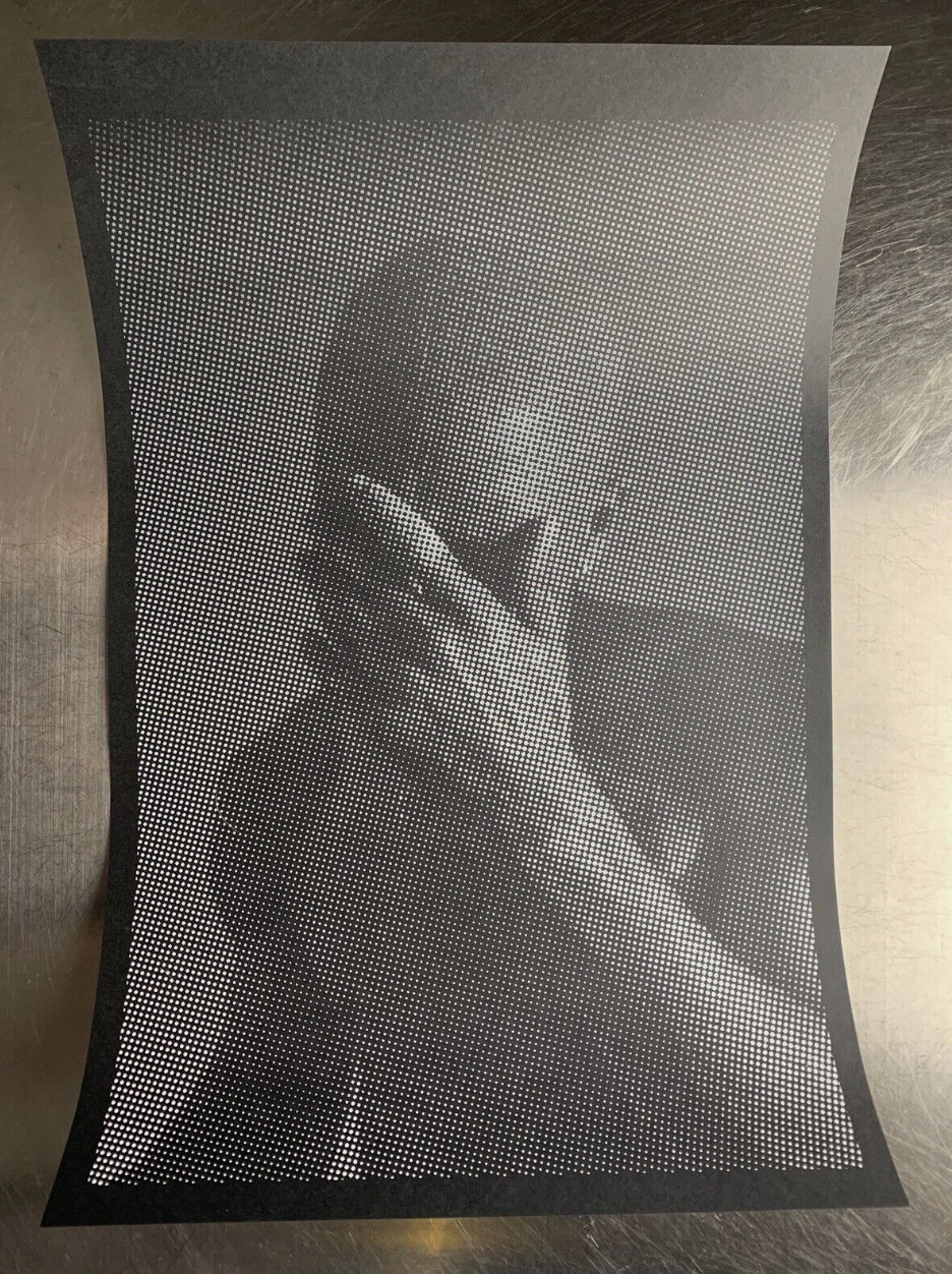 OFFICIAL FRANK OCEAN LIMITED EDITION BLACK FRIDAY 2016 BLOND PRINT POSTER NEW