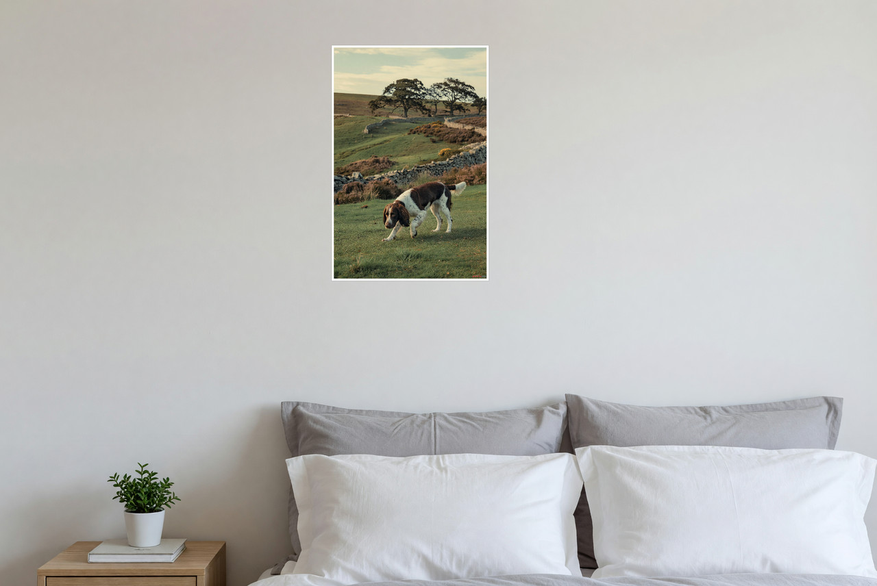 English Springer Spaniel Hunting Countryside 12×18 Poster