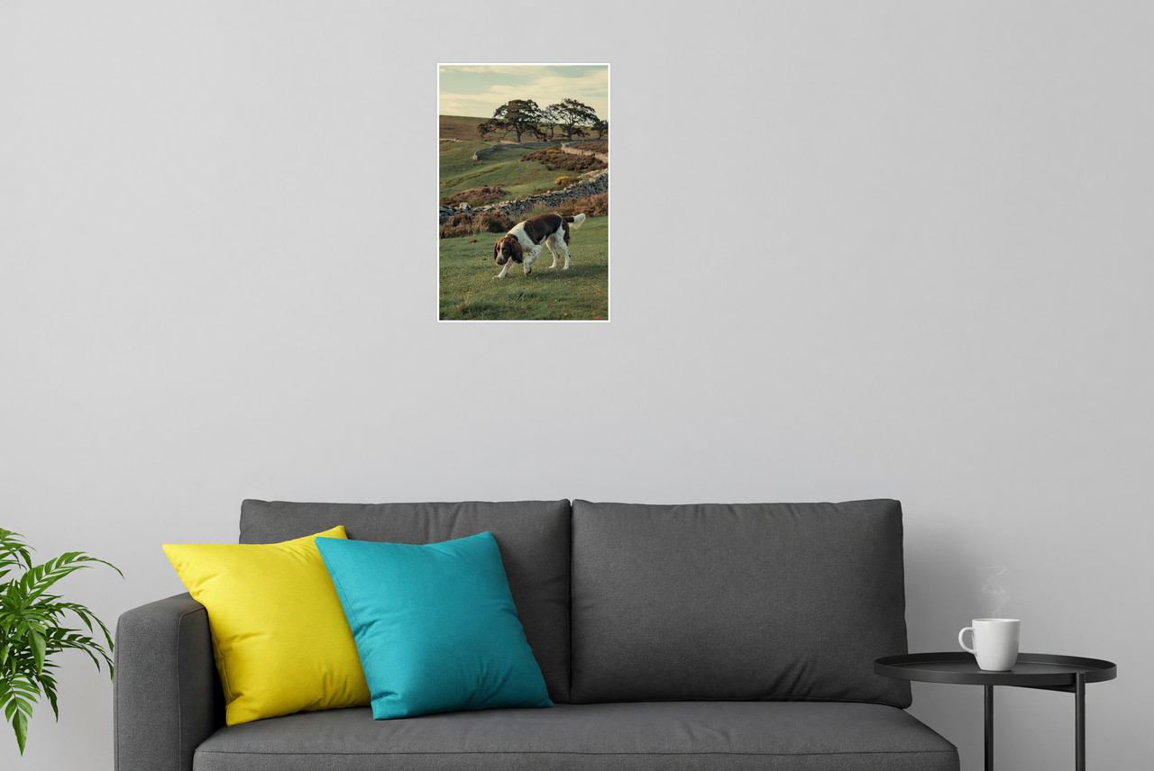 English Springer Spaniel Hunting Countryside 12×18 Poster