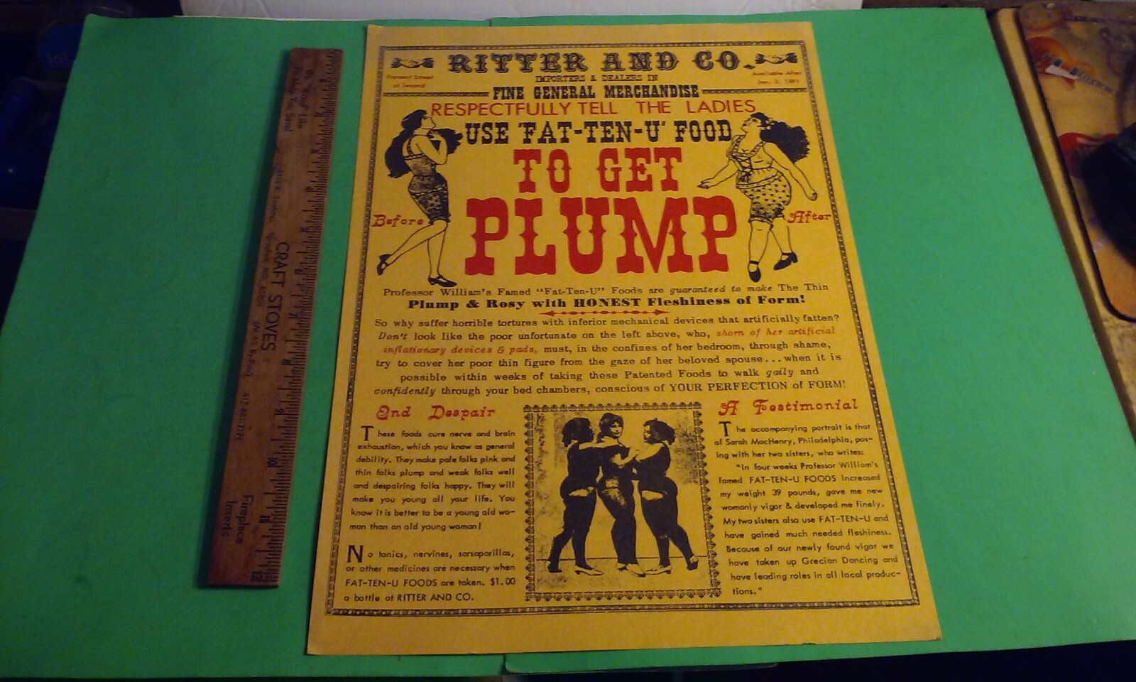 HOW TO GET PLUMP Use Fat-Ten-U’-Food 1970’s Reproduction of Early Poster