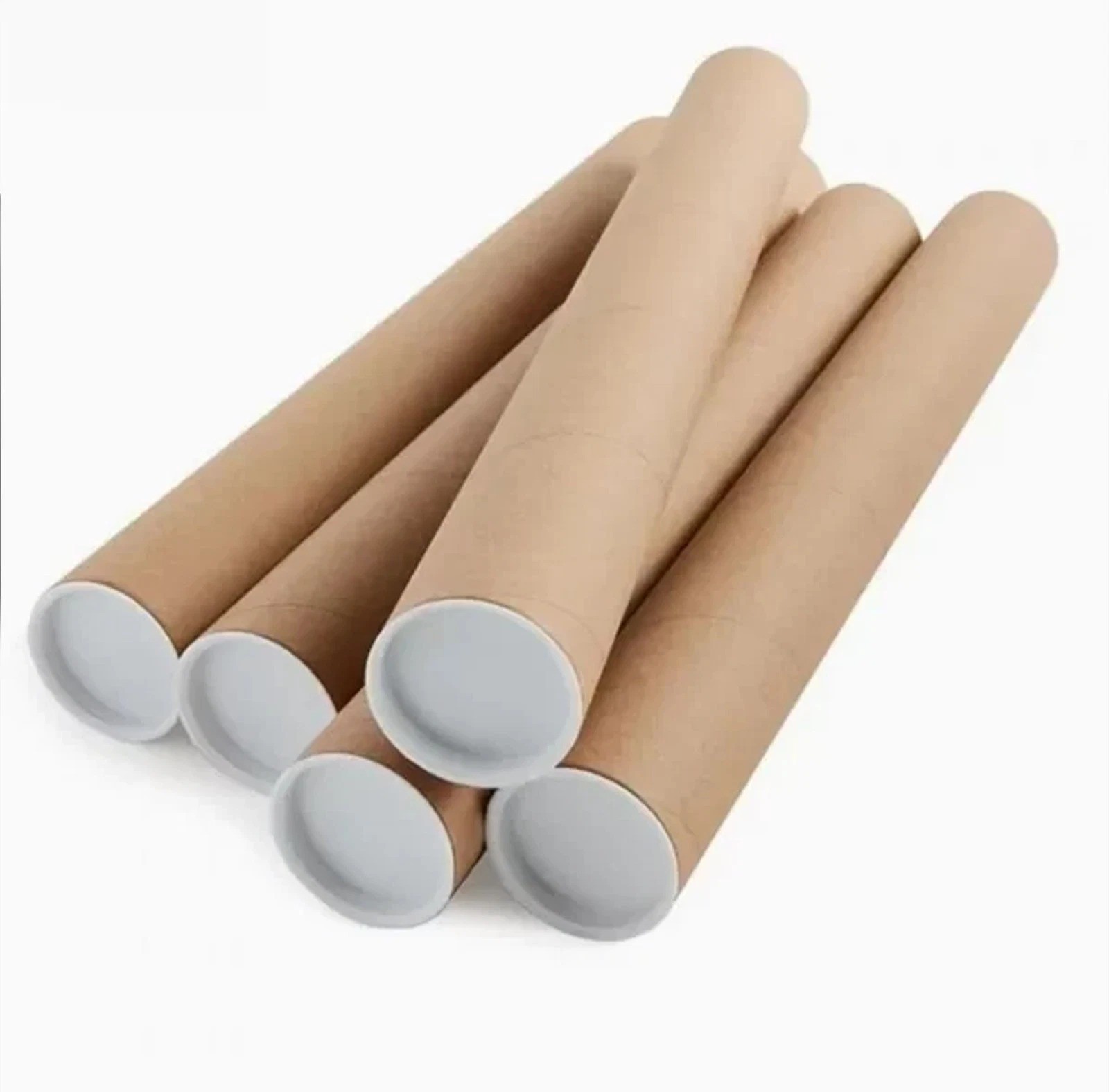Custom Poster – Bush 2026 Poster