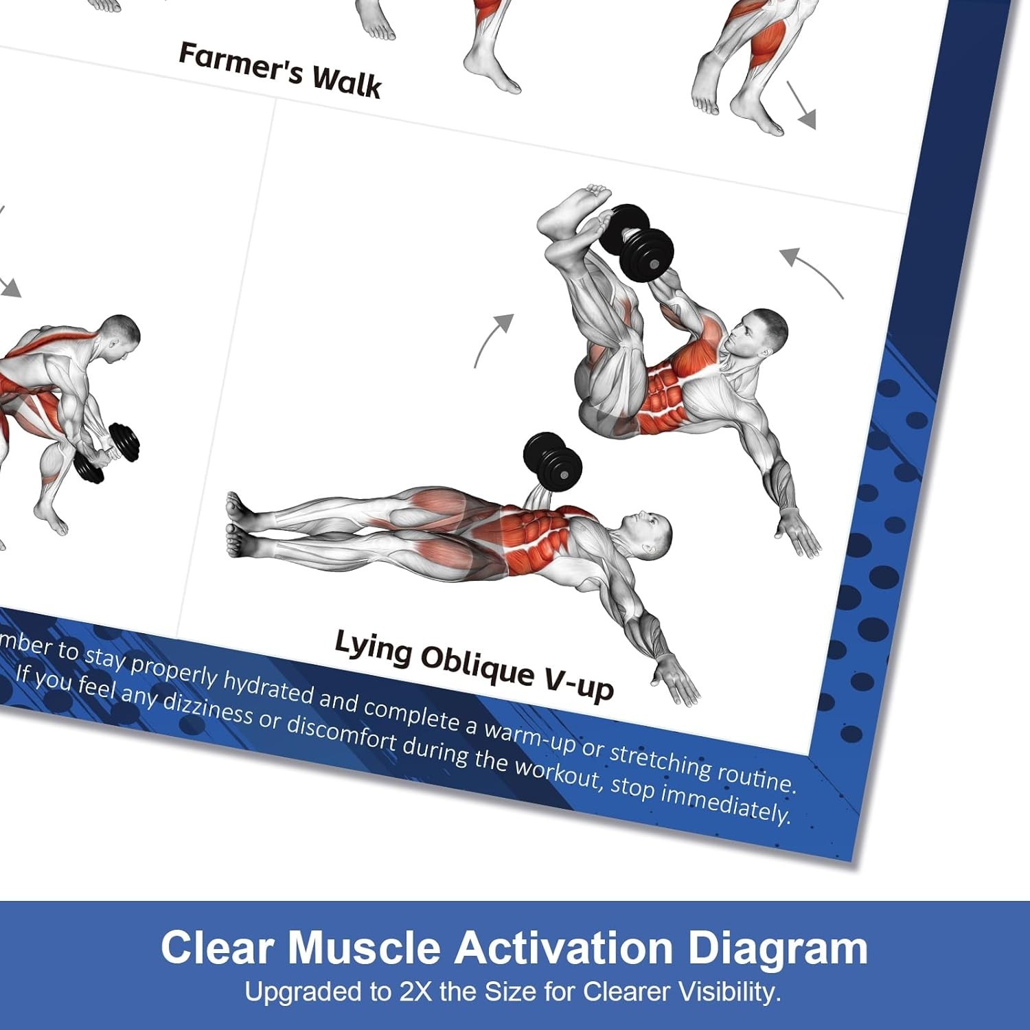 Dumbbell Workout Poster Set 2 Pack 18×24 Home Gym Exercise Muscle Diagrams NEW