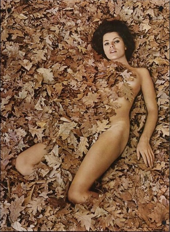 MIRROR OF VENUS AUTUMN LEAVES WINGATE PAINE original 1968 poster 21×30 MINT