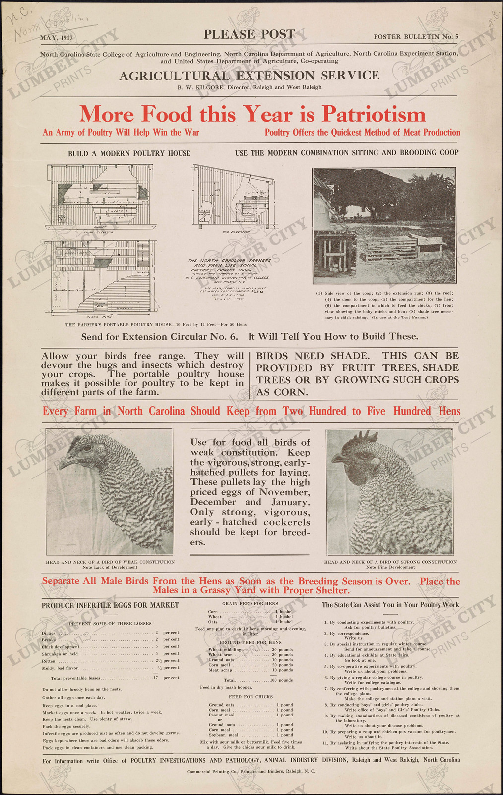 1917 Food is Patriotism North Carolina Poultry Poster Art Print WWI Retro